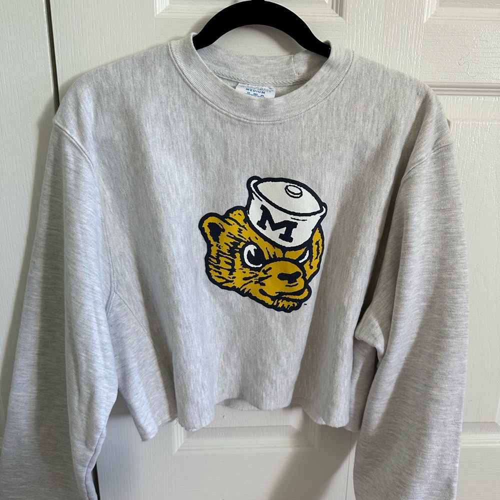 University of Michigan champion crop sweatshirt
